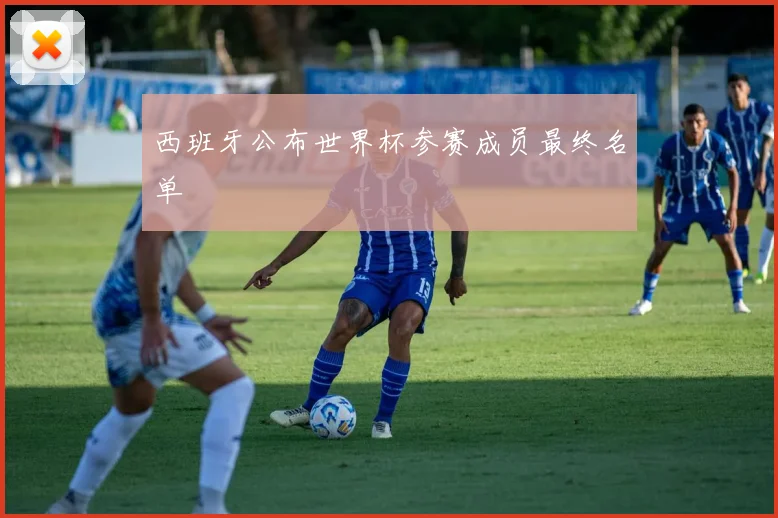 西班牙公布世界杯参赛成员最终名单